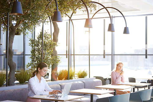 Serious young attractive business lady with ponytail sitting at table in cafe with wifi and typing on laptop