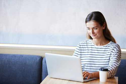 Content busy young woman in casual sweater sitting at table in coffee shop and checking mail on laptop