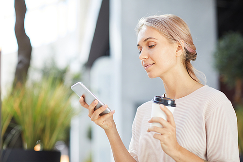 Content blond young woman in casual sweater drinking coffee from takeout cup and texting message on smartphone