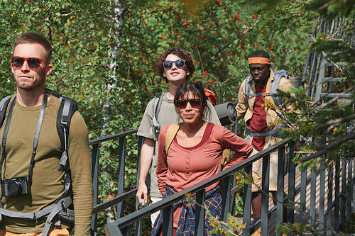 Group of interracial hikers with bags crossing forest bridge while hiking together in summer