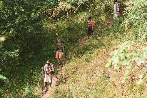 Group of active young multi-ethnic people with bags moving down hill while hiking together in autumn