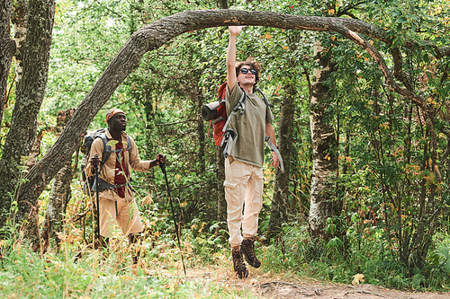 Positive young guy in sunglasss jumping to tree trunk while walking with black friend in forest