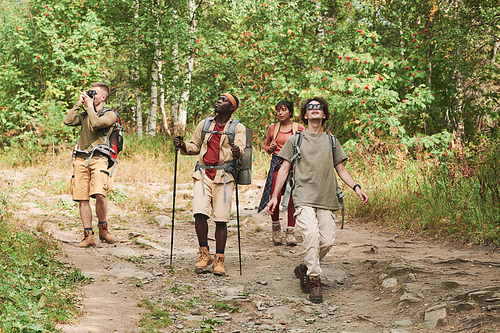 Group of young interracial friends with backpacks enjoying hike while walking along path in forest and looking around