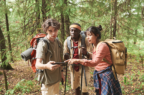 Group of concentrated young multi-ethnic hikers with bags checking location using gps on gadget