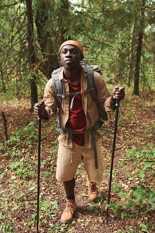 Content young black man with backpack using poles while enjoying nordic walking in forest