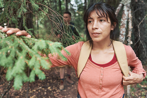 Pensive young mixed race woman with bag touching fir tree branch while determining direction in forest