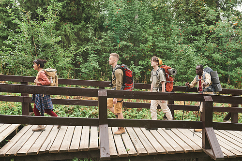 Group of young multi-ethnic hikers with backpacks walking in line on bridge while hiking in forest