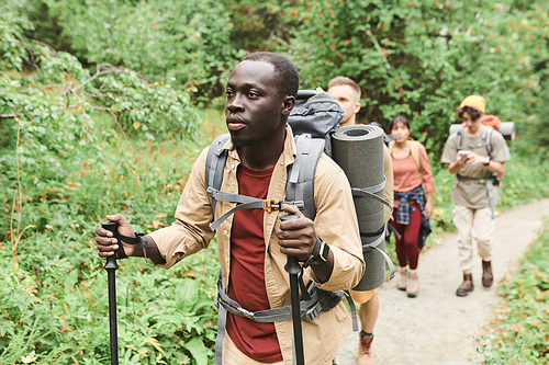 Skilled young Black guide with nordic poles walking in front of group of hikers in forest