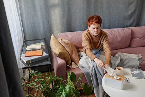 Horizontal high angle view shot of mature Caucasian woman having flu sitting on sofa taking fresh paper napkin to blow nose