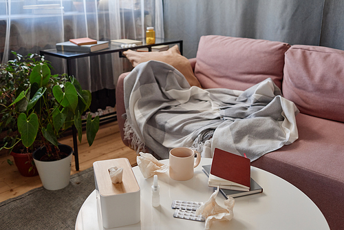 Horizontal no people shot of cozy loft living room interior in modern apartment belonging to person having influenza at moment