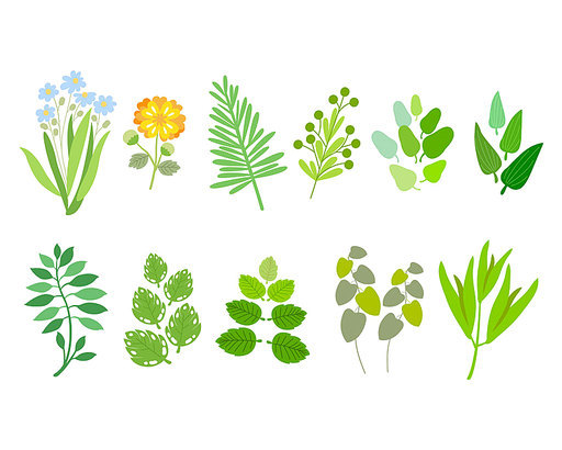 다양한 식물 이미지