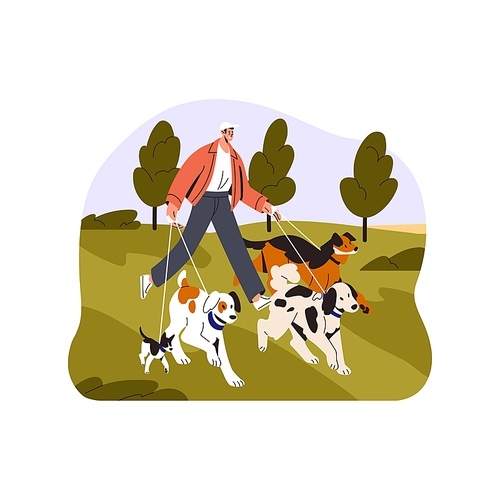 Person walking with many dogs, leading doggies on leash. Pet sitter, volunteer going with lot of puppies outdoor in nature. Man with pups in park. Flat vector illustration isolated on white background.