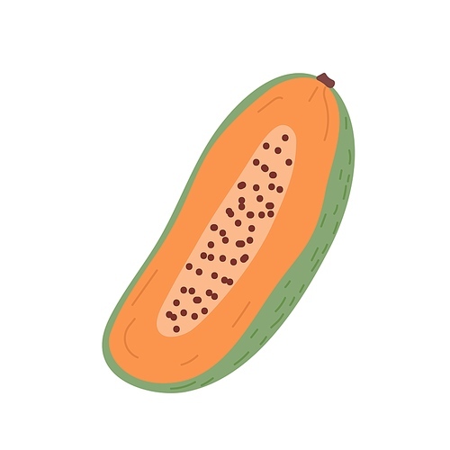 Papaya half with orange flesh and seeds. Cut piece of papaw fruit. Pawpaw cross section. Fresh tropical sweet fruit. Colored flat vector illustration isolated on white background.