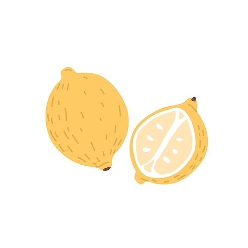 Whole lemon with yellow peel and citrus half with fresh flesh and seeds. Composition of tropical sour fruit and its cut piece. Colored flat vector illustration isolated on white background.