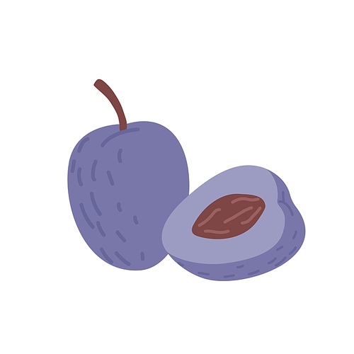 Whole plum and its cut half with seed and violet flesh. Composition of fresh purple berry and its piece. Summer fruit. Flat vector illustration isolated on white background.