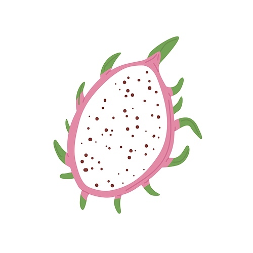 Cut half of pitaya with seeds and flesh. Top view of dragon fruit's piece. Cross section of pitahaya. Exotic tropical dragonfruit with pink skin. Flat vector illustration isolated on white background.