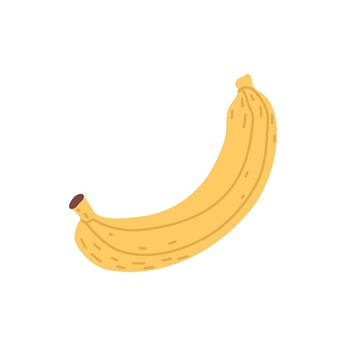 Whole banana with yellow skin. Fresh ripe tropical fruit with peel. Exotic sweet banan drawn in simple doodle style. Flat vector illustration isolated on white background.