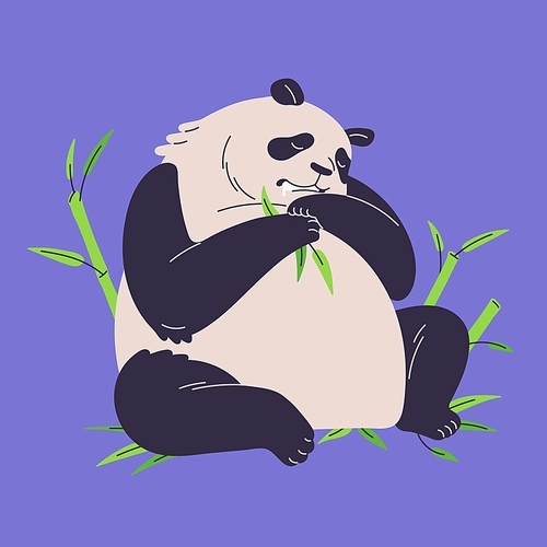 Cute well fed panda sleeping. Relax fluffy Chinese bear sleep in bamboo, drooling after eating. Plump funny animal relaxed lying, sitting in jungle, childish style. Flat isolated vector illustration.