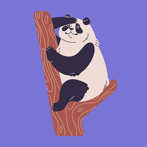Cute panda gazing. Happy Asian bear sitting and search on tree, fluffy plump animal look at nature, furry interested character observe and following jungle and smile. Flat isolated vector illustration.