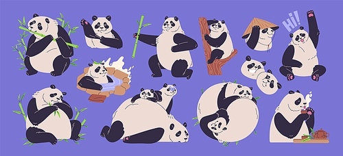 Cute pandas set. Funny Asian bears. Wild Chinese animal eating bamboo, sitting on tree branch, lying, relaxing. Jungle, Asia zoo characters, giant and little babies. Flat vector illustration.