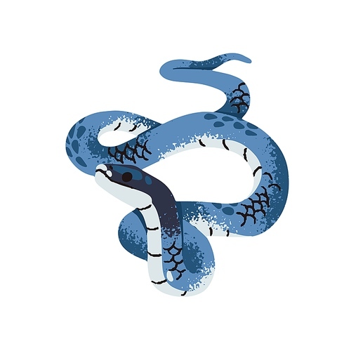 Blue racer snake. Exotic serpent with bright scale. Tropical colored boa. Rainforest fauna, savanna reptile, animal of terrarium. Tree viper. Flat isolated vector illustration on white background.