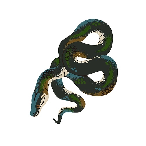 Rainbow boa. White lipped or water python. Tropical snake with glossy scale, patterned skin. Exotic serpent of rainforest. Terrarium animal. Flat isolated vector illustration on white background.