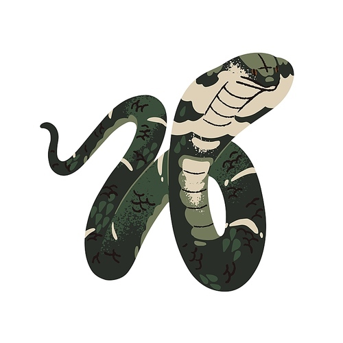 King cobra in defensive posture. Venomous snake with extended hood. Exotic serpent with patterned scale. Poisonous rainforest fauna of Asia. Flat isolated vector illustration on white background.