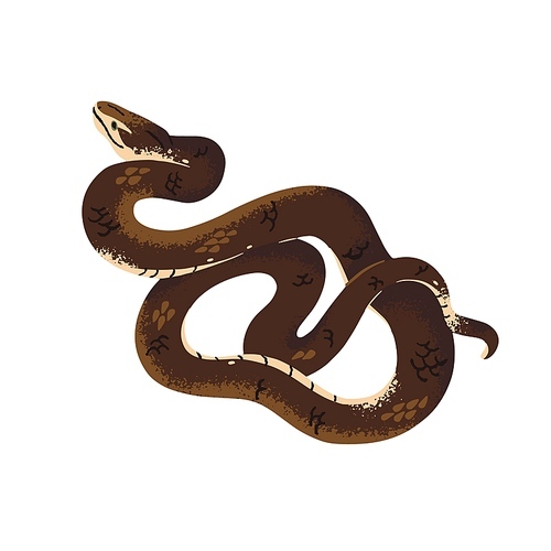 Common or Indian taipan. The most venomous australian snake. Dangerous exotic serpent with conservation status. Protected by law poisonous animal. Flat isolated vector illustration on white background.