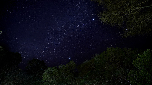 라이프 오브 사만다-초원의 밤하늘