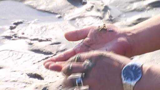 남자가 갯벌에서 잡은 살아있는 작은 바다 게를 아이의 손에 올려주는
