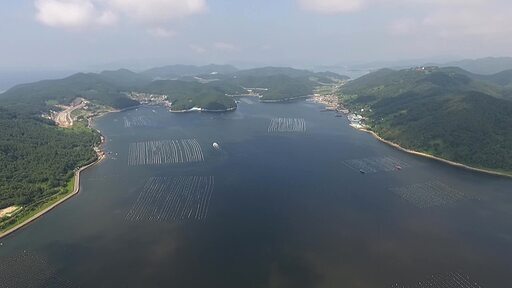 푸른하늘 섬이 많은 경상남도 창원시 마산만의 수산물 양식장 드론 촬영 전경