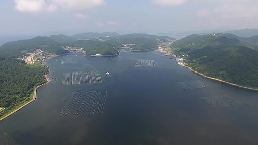 푸른하늘 섬이 많은 경상남도 창원시 마산만의 수산물 양식장 드론 촬영 전경