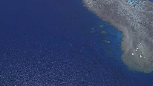 맑고 푸른 태평양 섬 주변에 산호초 군락이 넓게 펼쳐진 항공 촬영 영상