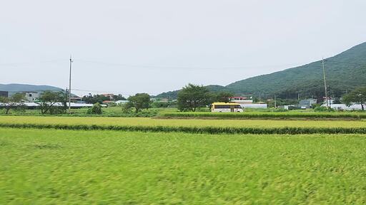논과 밭이 펼쳐진 시골길과 초록이 우거진 산길을 달리는 노란색 마을 버스 드론 촬영 영상