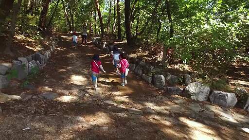 한국의 등산로를 걸어가는 어린아이들의 뒷모습