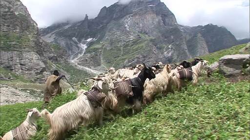 히말라야 마을을 지나 언덕을 넘는 사람과 동물들