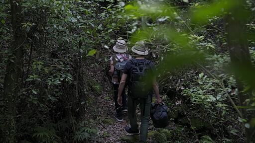 아빠와 아이가 모자를 쓰고 푸른 숲길을 걸어가는 드론 촬영 영상