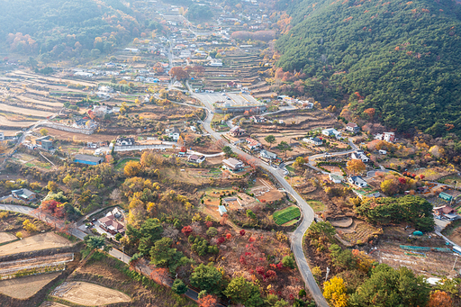 드론촬영: 가을 다랭이논