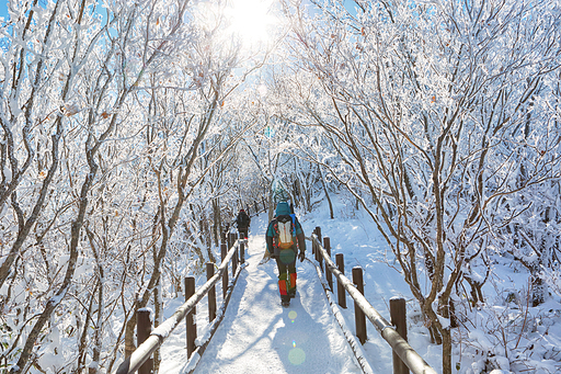 덕유산 설경