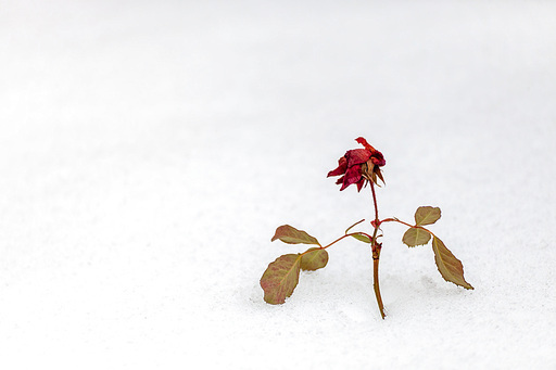 덕유산 설경