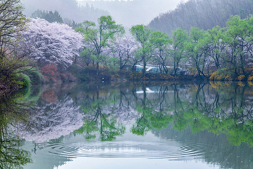 운곡소류지 봄풍경