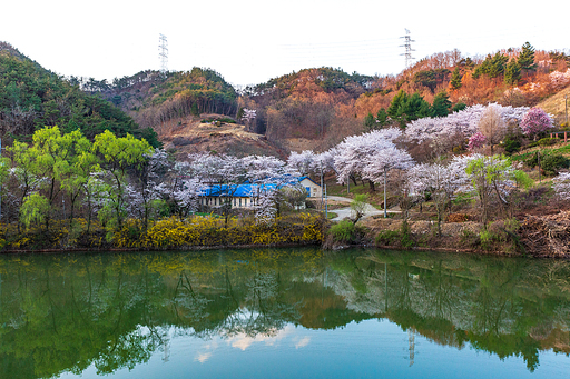 운곡소류지 봄풍경