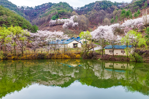 운곡소류지 봄풍경