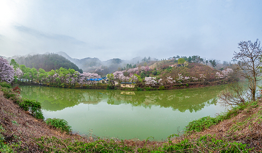 운곡소류지 봄풍경