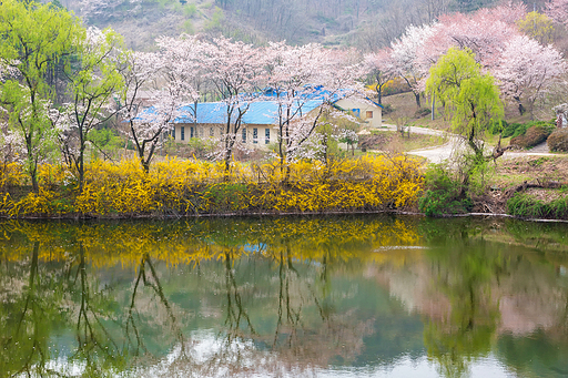 운곡소류지 봄풍경