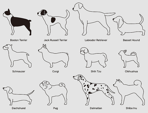 12가지 강아지 종류